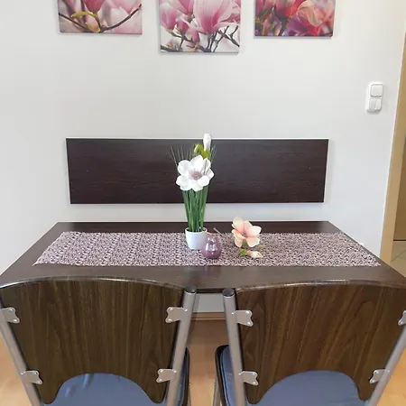 Magnolia Apartmam *