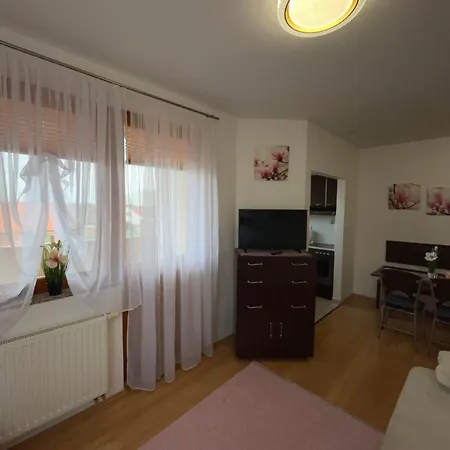 Magnolia Apartmam アパート