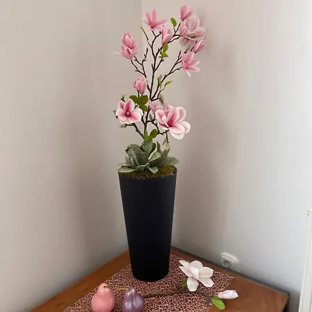 Magnolia Apartmam شقة Hegykő