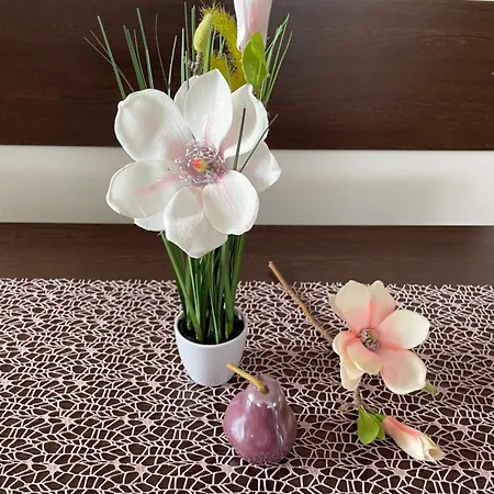 Magnolia Apartmam