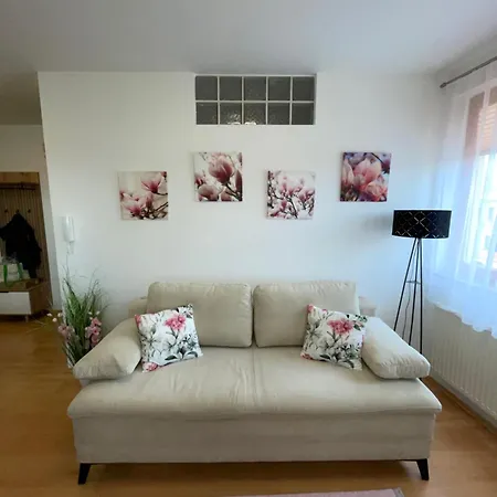 Magnolia Apartmam アパート Hegykő