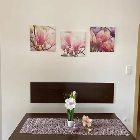 Magnolia Apartmam *