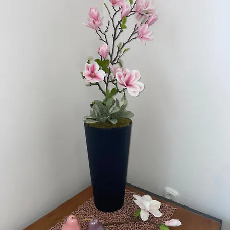 아파트 Magnolia Apartmam *