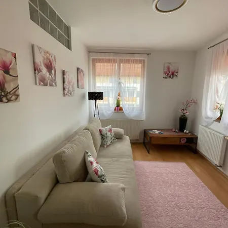 Magnolia Apartmam