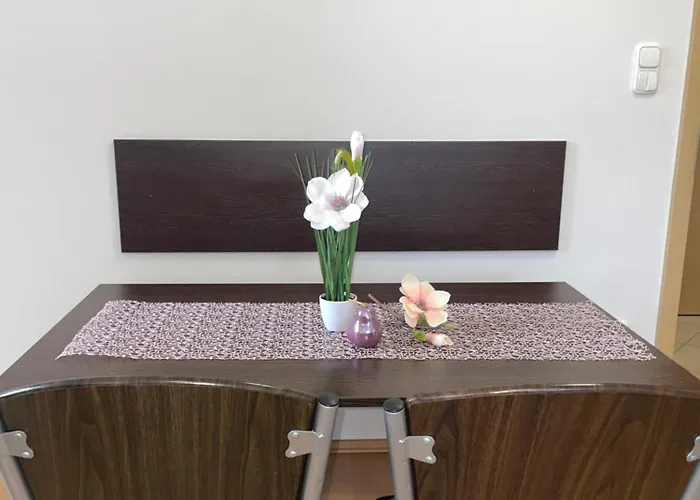 Magnolia Apartmam *