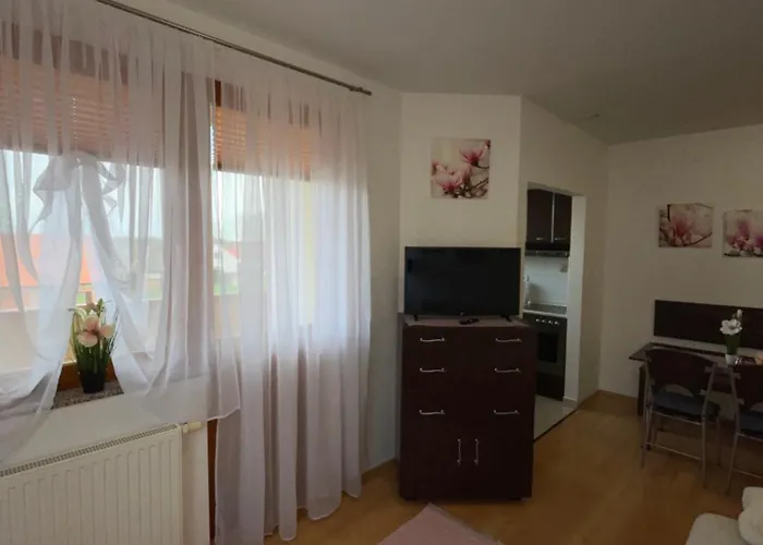 Magnolia Apartmam דירה
