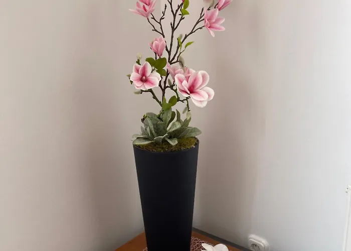 Magnolia Apartmam Lägenhet Hegykő