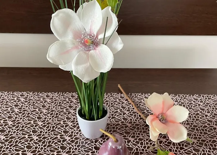 Magnolia Apartmam