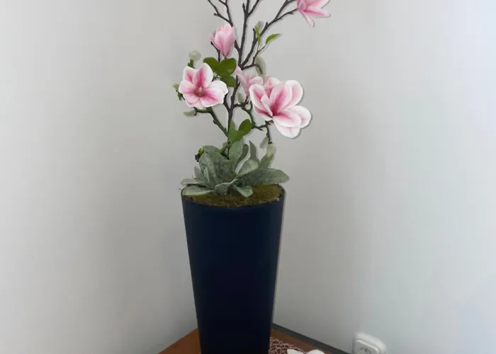 דירה Magnolia Apartmam *