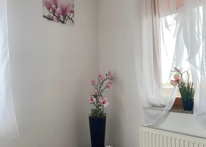 דירה Magnolia Apartmam